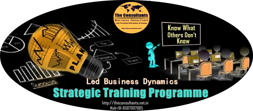 Led Business Training Programme & Strategic Consulting